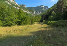 Сигнал за сеч в резерват „Червената стена“ подал гражданин, оказало се разрешена сеч и извън рамките на резервата