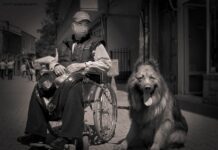 Отиде си големият асеновградчанин Павел Бойчев