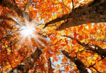 Времето днес