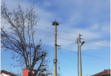 Пет щъркелови гнезда поставиха в село Долнослав