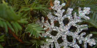 На 14 декември имен ден празнуват всички снежни имена