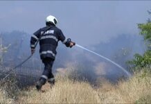 Горят сухи треви и стари лозя след края на Асеновград, посока Мулдава /ОБНОВЕНА/