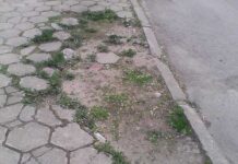 Ново общинско предприятие в Асеновград ще се занимава със строителство и благоустройство