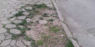 Ново общинско предприятие в Асеновград ще се занимава със строителство и благоустройство