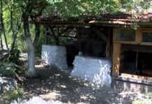 Бездомници замърсяват и създават предпоставки за пожар в района на параклис Св. Илия над Асеновград