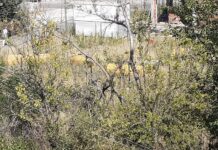 Жители на кв. „Запад” негодуват срещу изпълнението на проекта за облагородяване на квартала