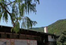 Голяма Богородица е! Тълпи от хора се стекоха в Бачковския манастир /снимки/