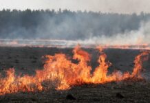 До 6000 лв. достига санкцията за палене на стърнища