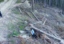 Вандалска сеч на дървета с табели, финансирани от МОСВ и БТС край хижа Преспа