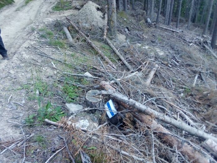 118744880_3164228687029596_5511179045685351086_o