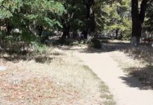 Доброволци чистят района около гарата утре, като част от инициативата #ЗаАсеНОВград