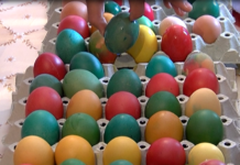 Боядисаха великденските яйца в Избеглии