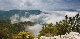 РИОСВ – Пловдив представи биосферния парк “Червената стена“ на летния университет на ЮНЕСКО Снимка: Минко Михайлов