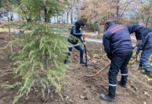 800 дървета и храсти залесиха в градския парк на Куклен, кметът Мария Белчева също се включи в акцията