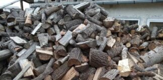 37- годишен от село Боянци, хванат да извозва незаконно дървесина