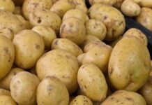 МЗХГ: В страната се консумират над 180 000 тона картофи годишно