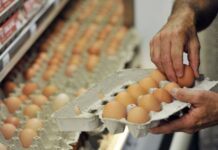 БАБХ започват масирани проверки по повод великденските празници