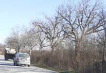 За влошено състояние на пътя Асеновград-Козаново алармират шофьори