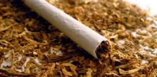 До края на януари тютюнопроизводителите кандидатстват за de minimis