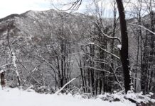 След снеговалежа обстановката в Асеновград и населените места от общината е спокойна