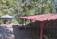 Доброволци организират акция за почистване на района около местността „Тепавицата“