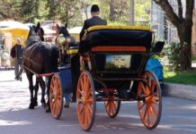 Средствата за откупуване на файтона на Капитана вече са събрани