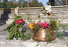 Първият учебен ден в Асеновград