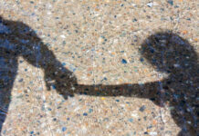 Агенцията за закрила на детето започва онлайн проверки