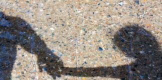 Агенцията за закрила на детето започва онлайн проверки