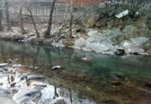 Екоинспекцията в Пловдив провери сигнал за замърсяване на река Чепеларска