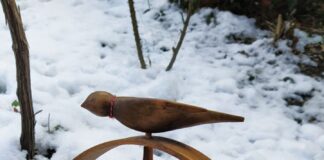 Исторически музей-Асеновград с редица мероприятия през февруари