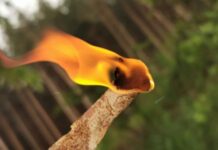 ДФ „Земеделие” създаде специален имейл за сигнали за пожари