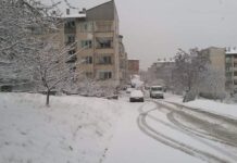 Мартенски сняг се сипе над Асеновград, снежната покривка е 5-6 см.