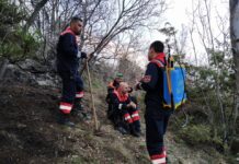 Пожар над Асеновата крепост унищожи 3 дка широколистна гора