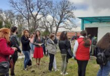 Открит урок, изложба и залесяване в Куклен