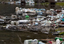 3000 лв. глоба за Община Асеновград за наличие на незаконни сметища в селата Тополово и Леново снимката е илюстративна