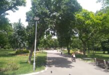 Поливната система в Градския парк вече функционира