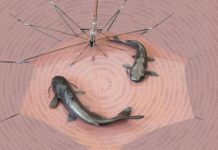 Национални есенни изложби Пловдив 2017