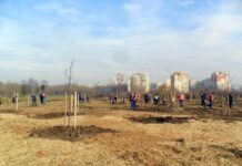 Засаждат 100 фиданки за поредното разширение на парк „Лаута“