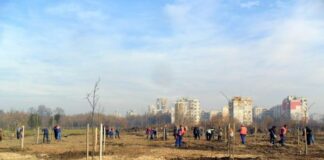 Засаждат 100 фиданки за поредното разширение на парк „Лаута“