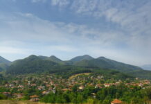 С близо 2300 фиданки залесиха от Горско стопанство Асеновград две местности край села в общината