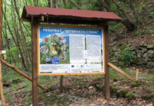 Конкурс за създаване на лого на Биосферен парк „Червената стена“