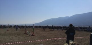 Конни надбягвания /кушии/ по традиция и тази година се състояха на Тодоровден