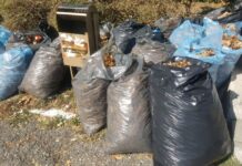 Асеновградчани активно се включват в кампанията „Да изчистим България“