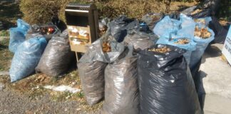 Асеновградчани активно се включват в кампанията „Да изчистим България“