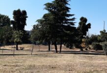 Присъединете се към кварталните инициативи по градинарство, призовават от Община Асеновград