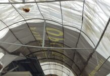 Дядо Коледа е на Общинския пазар в Асеновград!