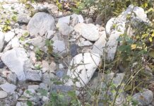 Какво остава след търсещите прохлада край реката