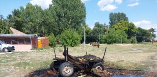 Каруца изгоря днес на центъра на село Боянци