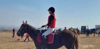 Държавно първенство за деца и млади ездачи се провежда днес в с. Червен